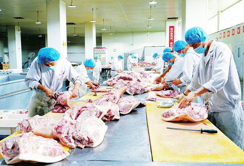 冷链食品监管不放松